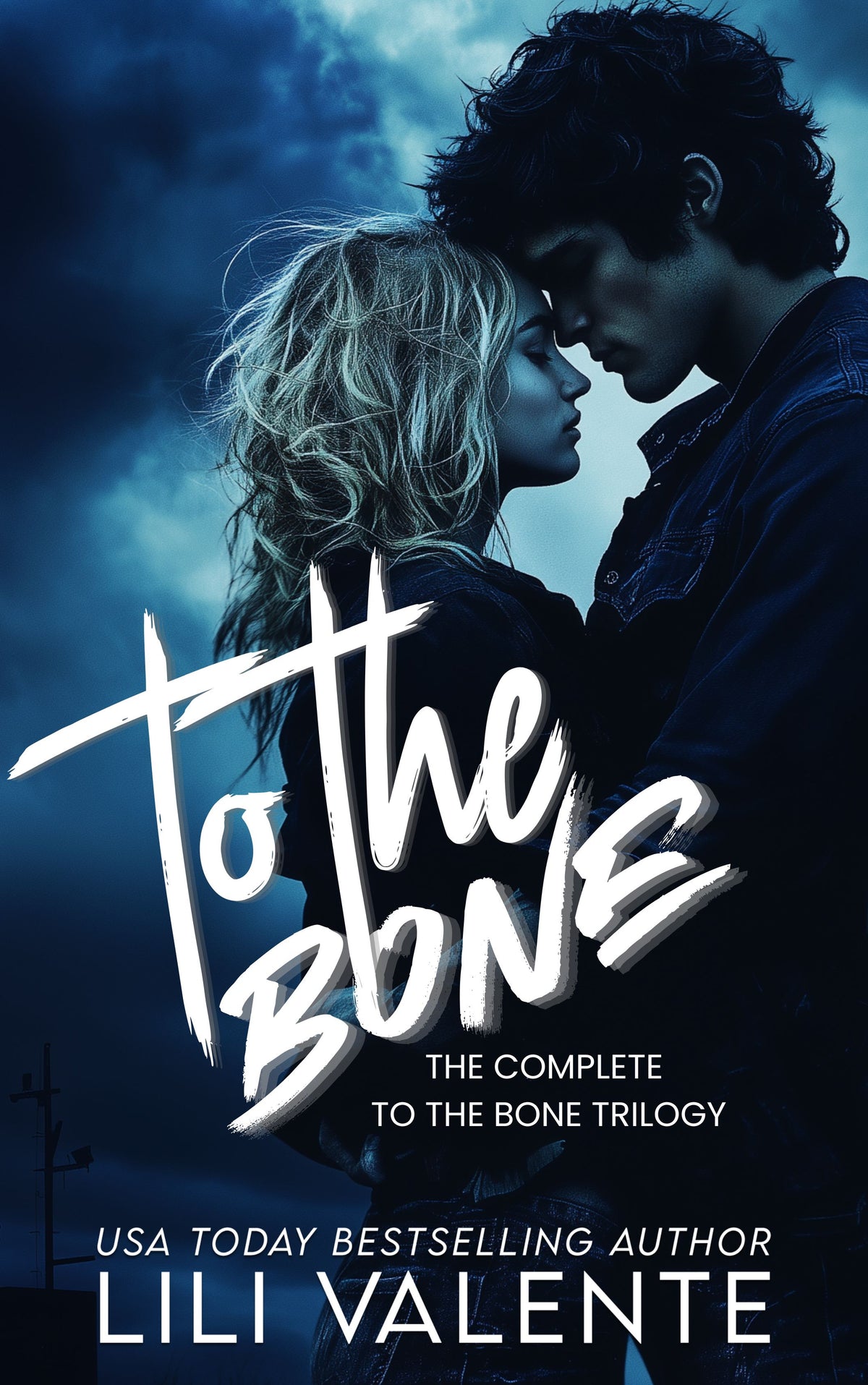 To the Bone: The Complete Series - Lili Valente Writes Romance